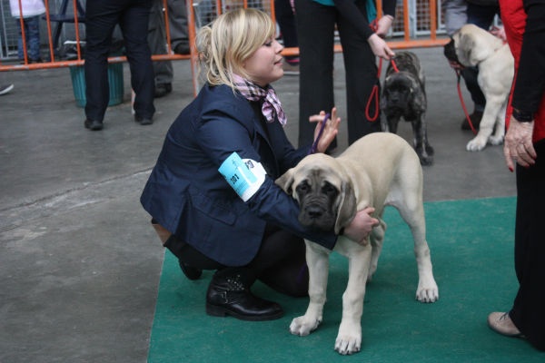 CH. Lola La Vallée Des Mountches - 2 ème TP