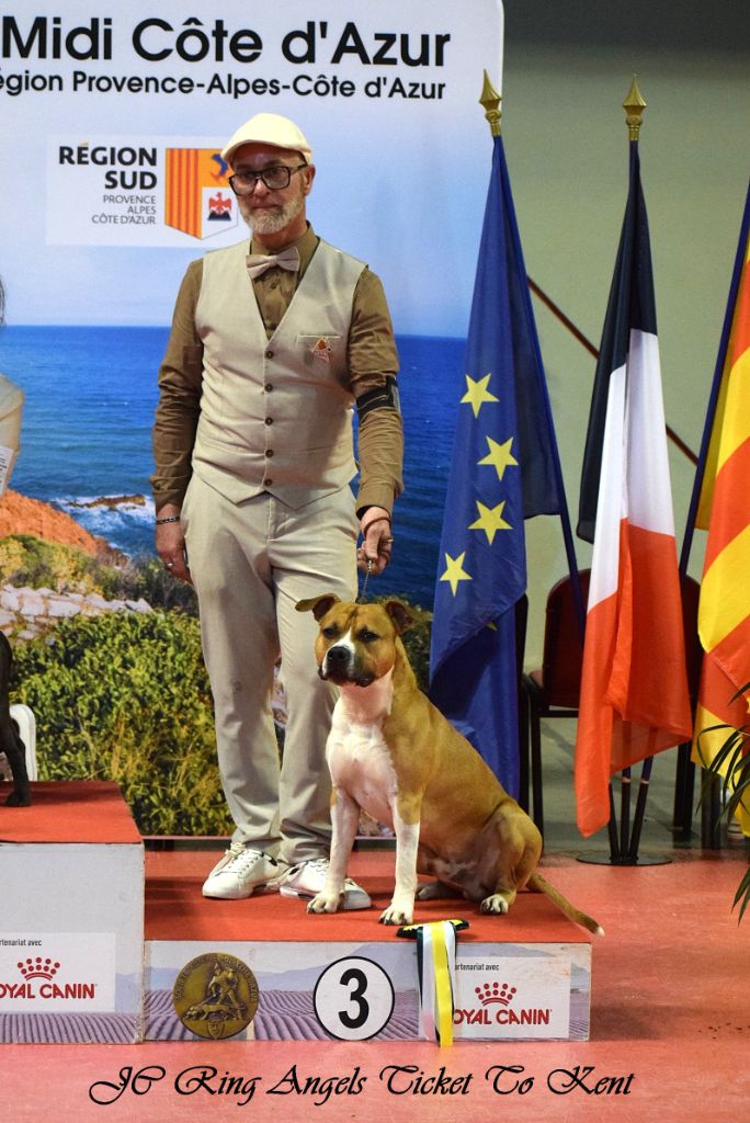 CH. jc ring angels Ticket to kent - 1er exc, CACS-J, Meilleur Jeune, JBOG/3