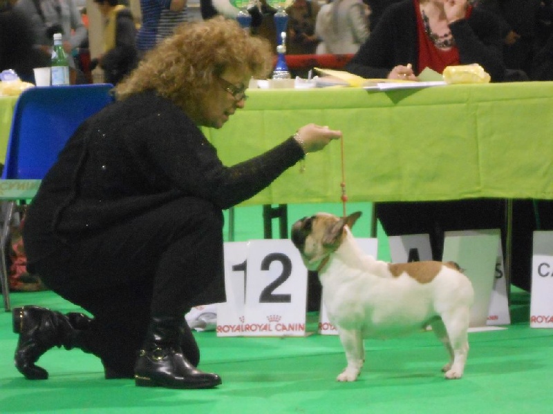 Haltesse royale des hautes falaises - 2ème EXC - Classe Intermédiaire
