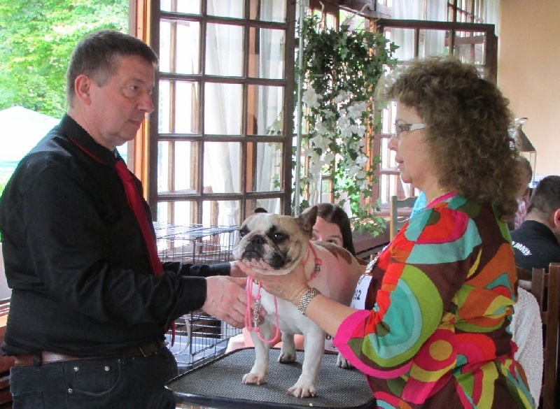 Haltesse royale des hautes falaises - EXC - Sans Clasement