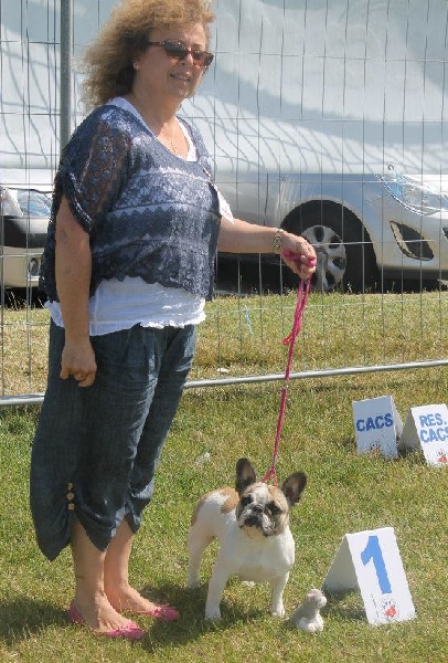 Haltesse royale des hautes falaises - 1ère Très Bon