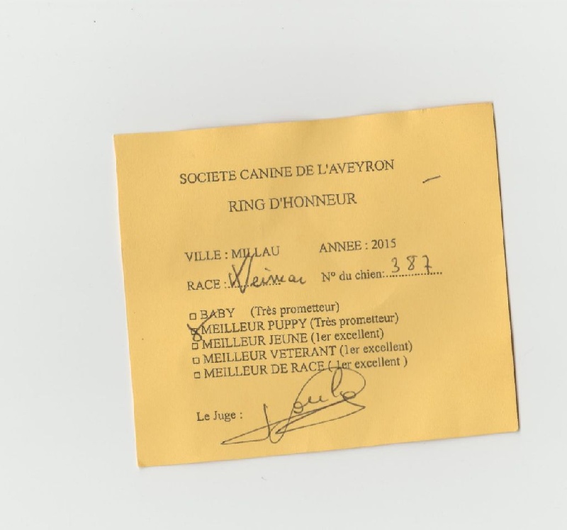 Publication : Du Prunus D'André