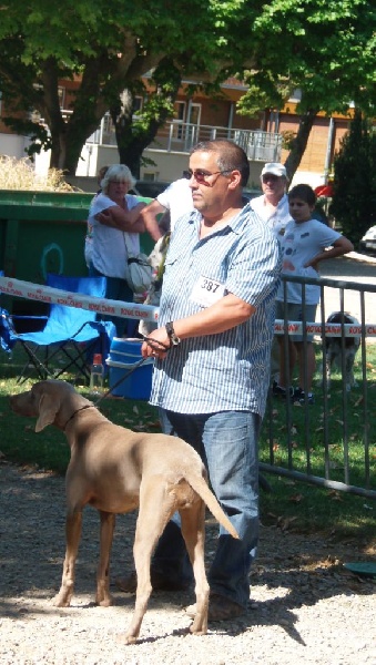 Publication : Du Prunus D'André