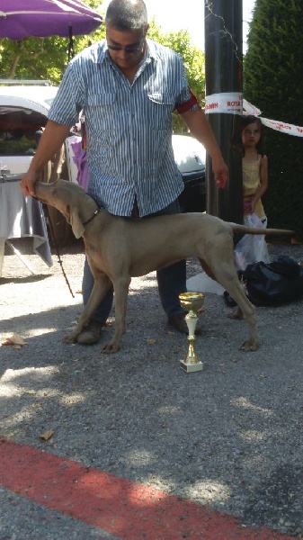 Publication : Du Prunus D'André