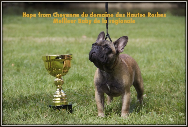 Hope from cheyenne Du Domaine Des Hautes Roches - Très prometteur, Meilleur Baby