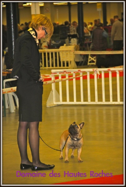 Hope from cheyenne Du Domaine Des Hautes Roches - 2eme très bon en classe jeune