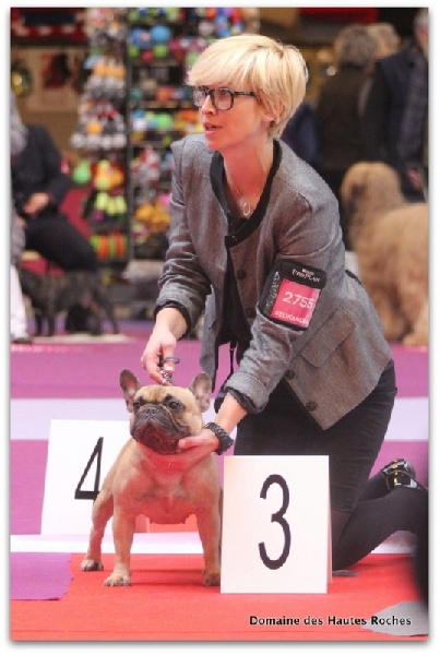 Hope from cheyenne Du Domaine Des Hautes Roches - 3EME EXcellent en classe ouverte