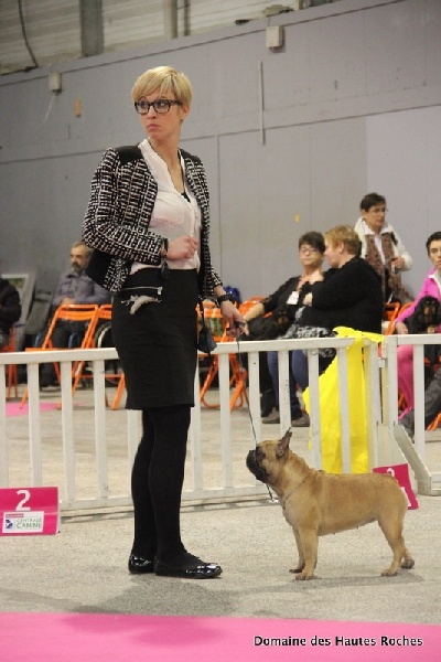 Hope from cheyenne Du Domaine Des Hautes Roches - 2eme excellent en classe ouverte