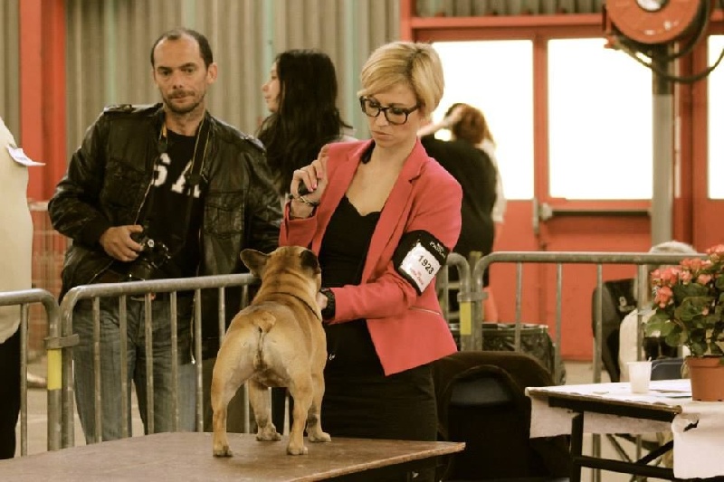 Hope from cheyenne Du Domaine Des Hautes Roches - 2 eme excellent CO