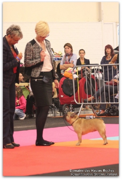 Hope from cheyenne Du Domaine Des Hautes Roches - 4eme excellent en classe ouverte