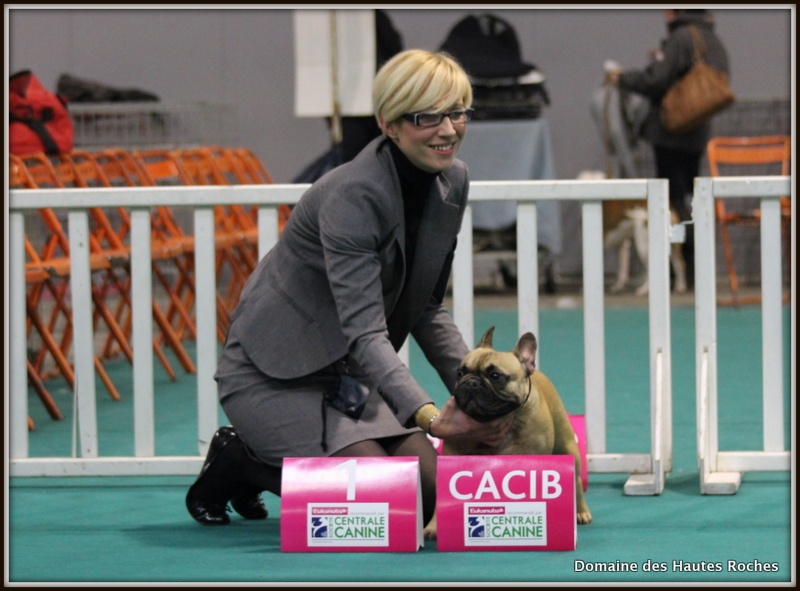 Hope from cheyenne Du Domaine Des Hautes Roches - 1ere excellent classe ouverte CACS CACIB