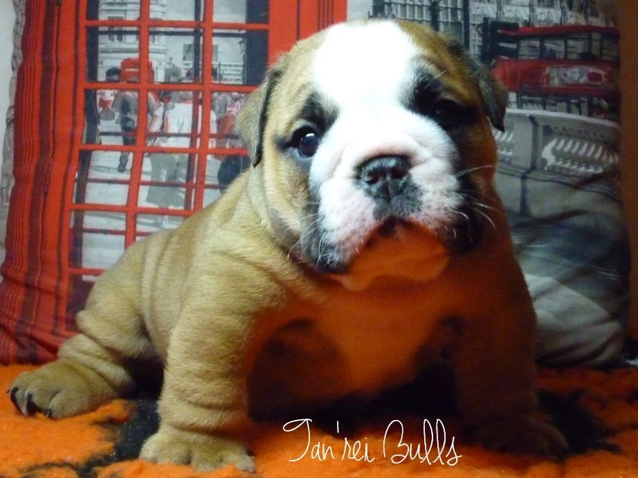 Publication : Precious Beauty's Auteur : M.milhes