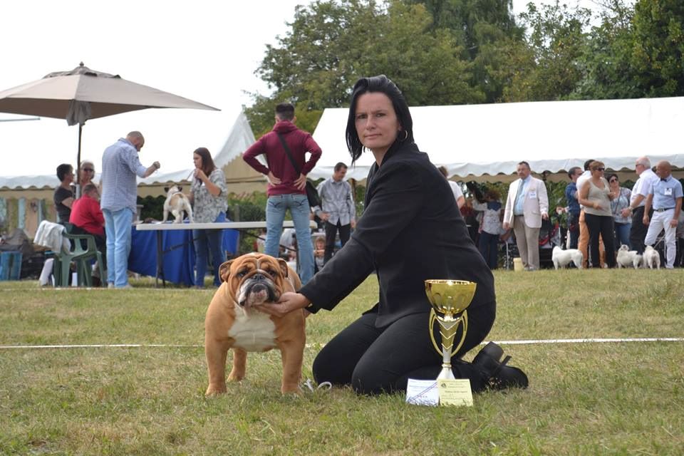 Publication : Precious Beauty's Auteur : M.Milhes