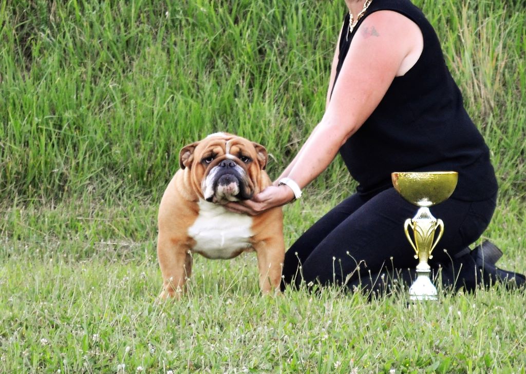 Publication : Precious Beauty's Auteur : M.Milhes