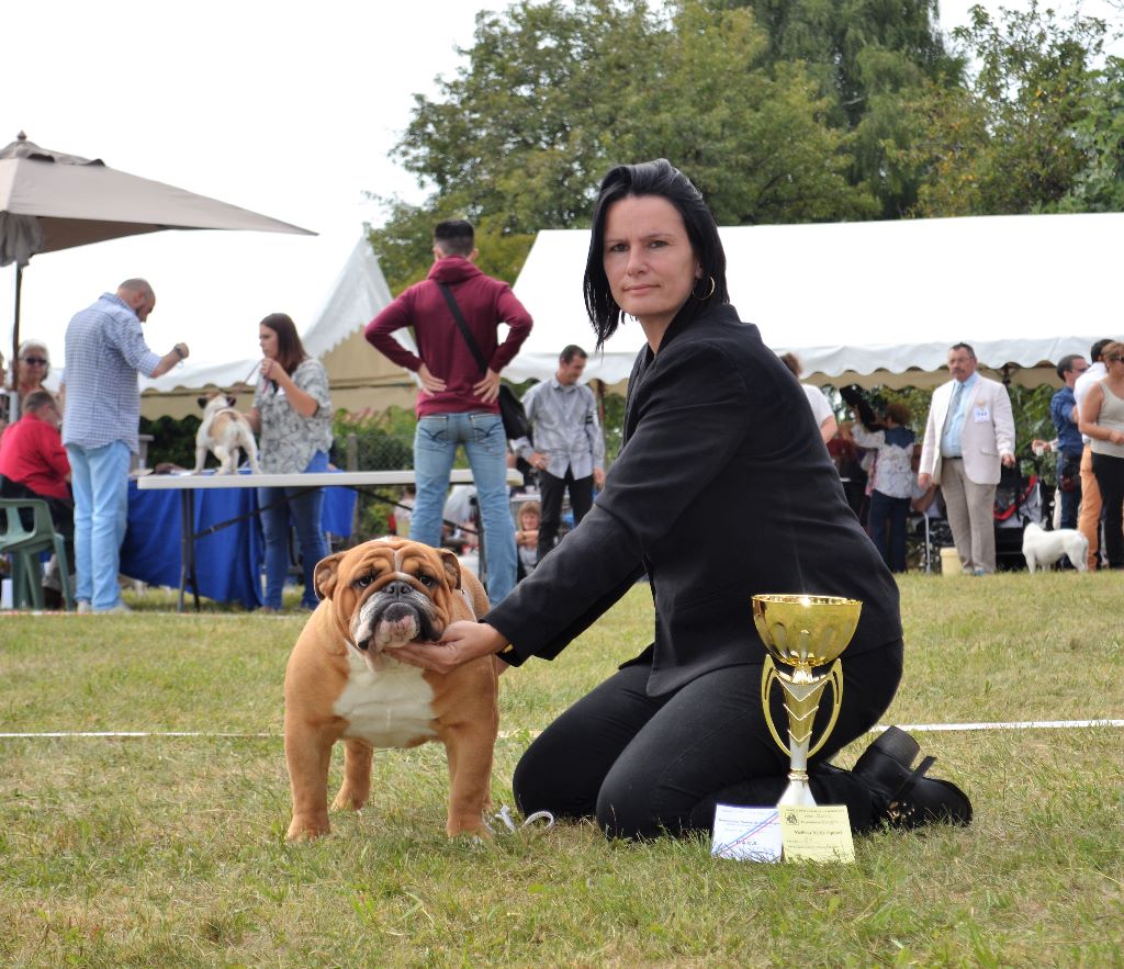 CH. Edson Conqueror Lord byron - 1er Excellent CACS BOS