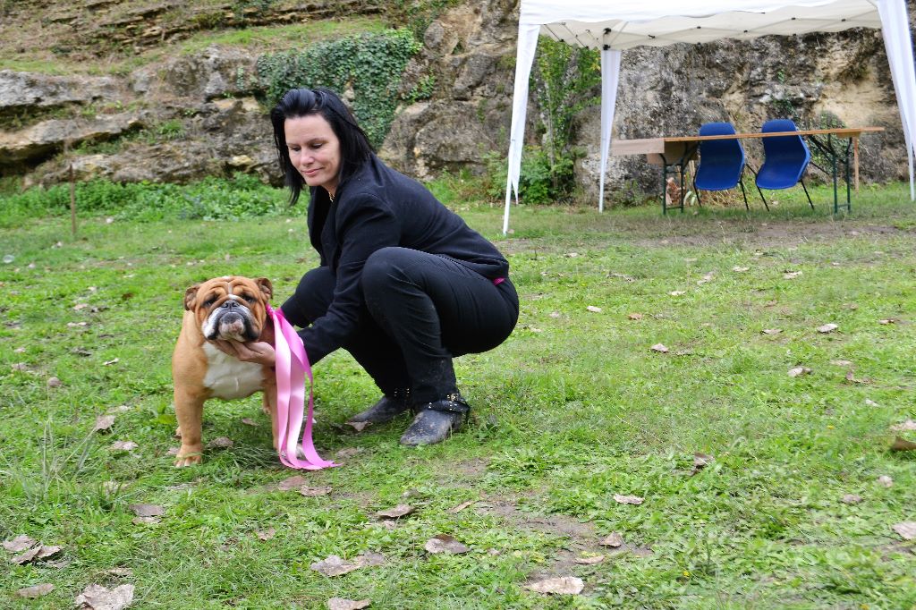 CH. Edson Conqueror Lord byron - 1er Excellent CACS BOS