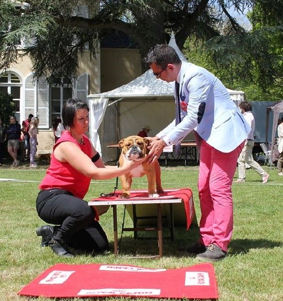 CH. Edson Conqueror Lord byron - 5eme Prometteur