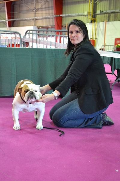 Giant rubis Precious Beauty's - 1ère TB