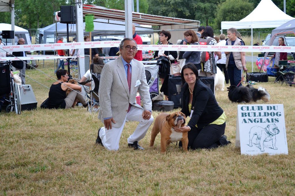 CH. Edson Conqueror Lord byron - 1er Ex CACS CACIB BOS