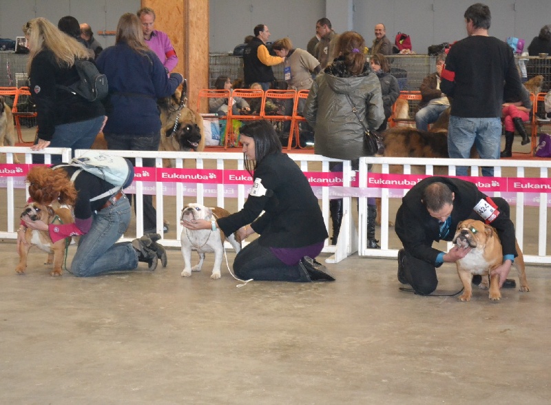 Giant rubis Precious Beauty's - Très bon