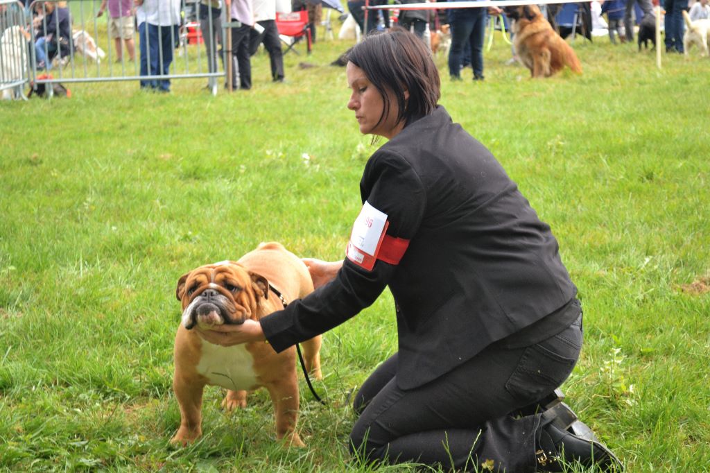 CH. Edson Conqueror Lord byron - 2e Excellent RCACS