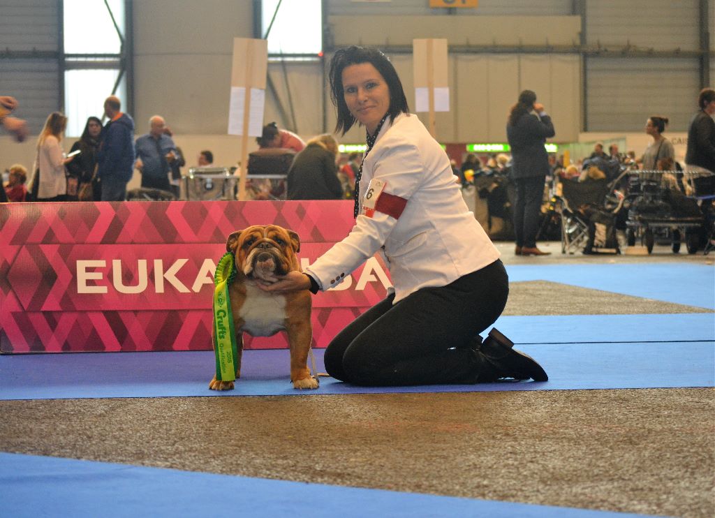 CH. Edson Conqueror Lord byron - 1er Ex CACS CACIB