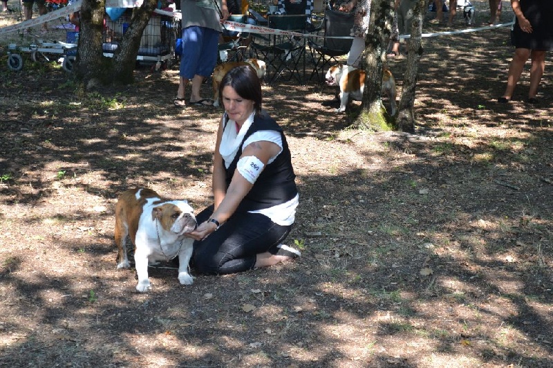 Giant rubis Precious Beauty's - 4eme TB