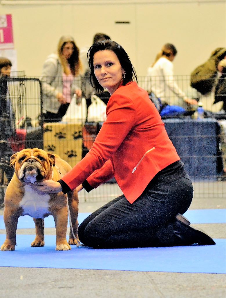 CH. Edson Conqueror Lord byron - 3e Excellent