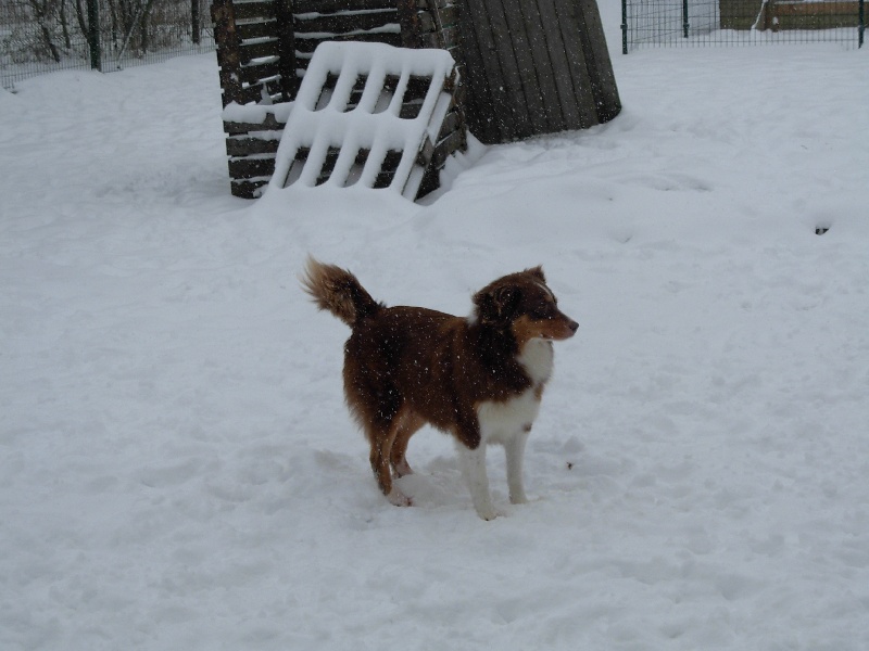 Publication : Of Mysterious Tales Auteur : Frédéric FOLENS