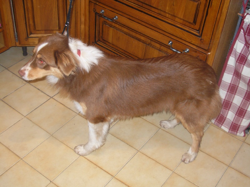 Publication : Of Mysterious Tales Auteur : Frédéric FOLENS