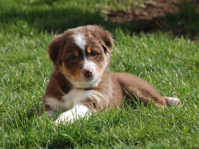 Publication : Of Mysterious Tales Auteur : Frédéric FOLENS