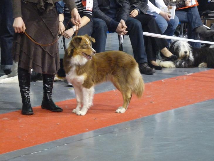 Publication : Of Mysterious Tales Auteur : Frédéric FOLENS