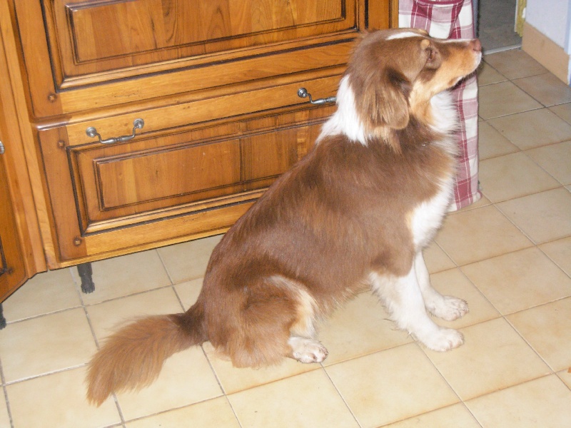 Publication : Of Mysterious Tales Auteur : Frédéric FOLENS