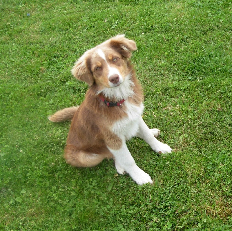 Publication : Of Mysterious Tales Auteur : Frédéric FOLENS