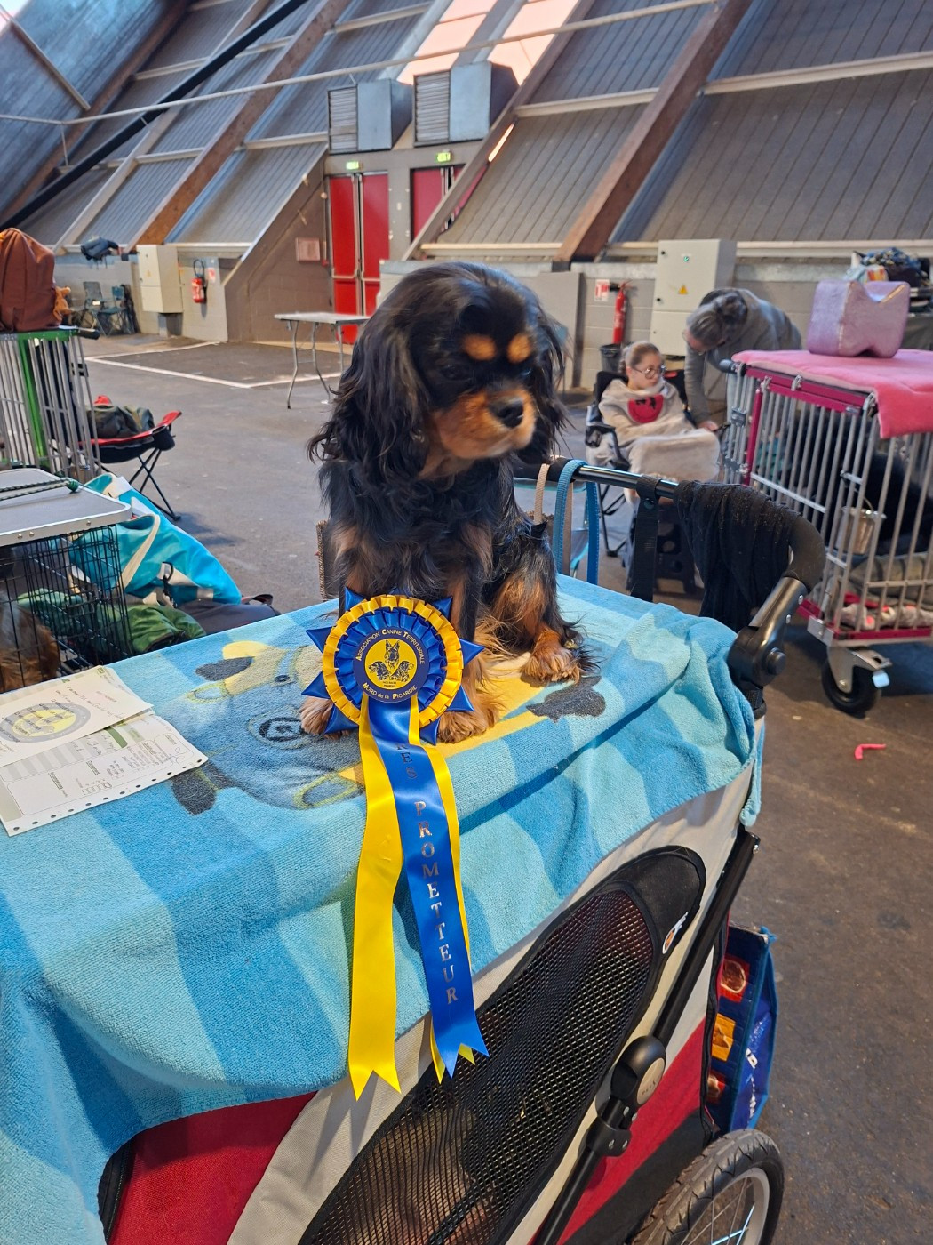 Abigaël Du Mont Des Crocs Blancs - 1ere Très Prometteur Meilleure Puppy