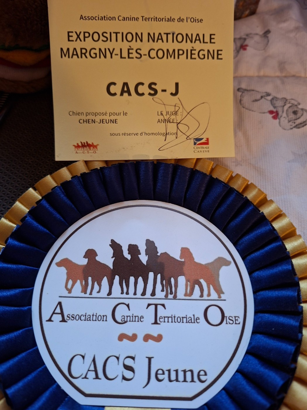 V'Willow Du Mont Des Crocs Blancs - CACS-J