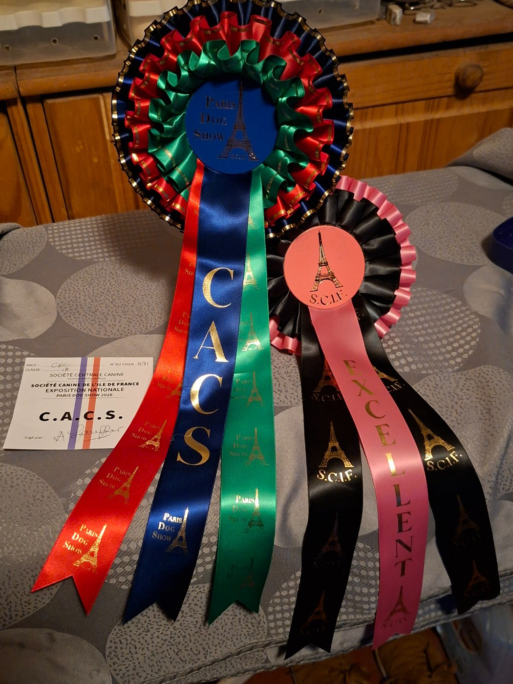 V'Willow Du Mont Des Crocs Blancs - 1er excellent CACS