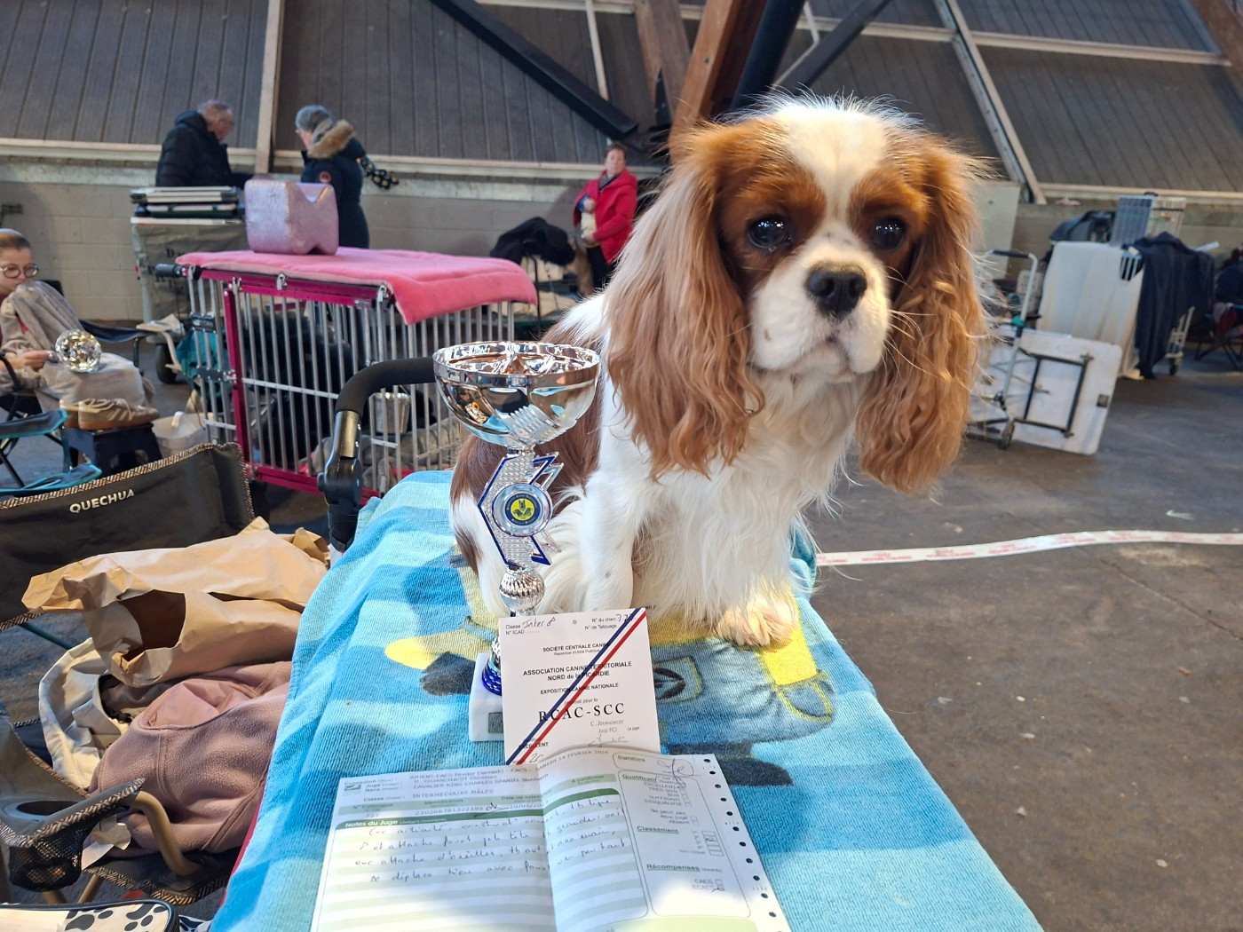 V'Willow Du Mont Des Crocs Blancs - RCACS