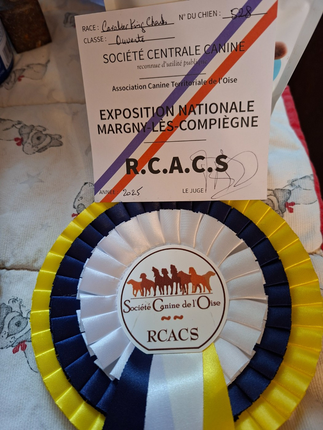 Urielle du millessime champenois - RCACS