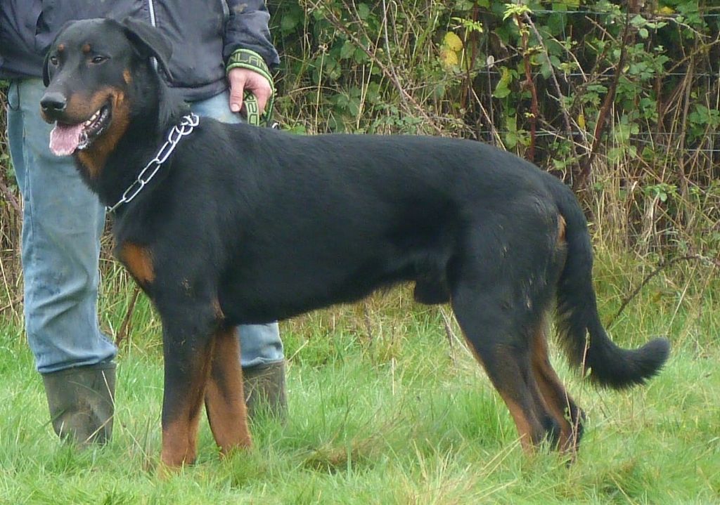 Usko Du Quartier De Thiou - nc