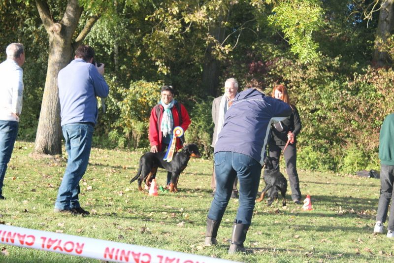 Usko Du Quartier De Thiou - 1er Très Prometteur en classe baby mâle