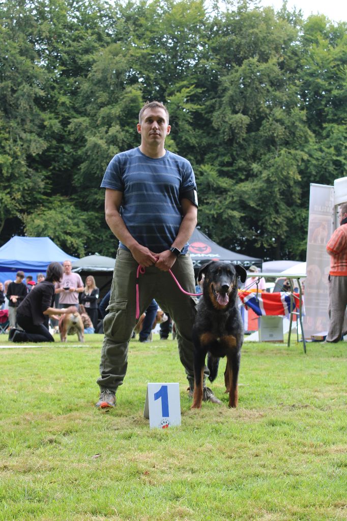 Sequana blue Du Quartier De Thiou - 1ère excellente CACS