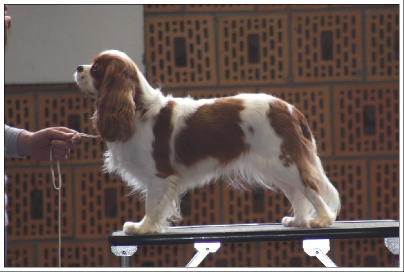 In holly day's Of Aragon's Spirit - 3ème TB classe ouverte