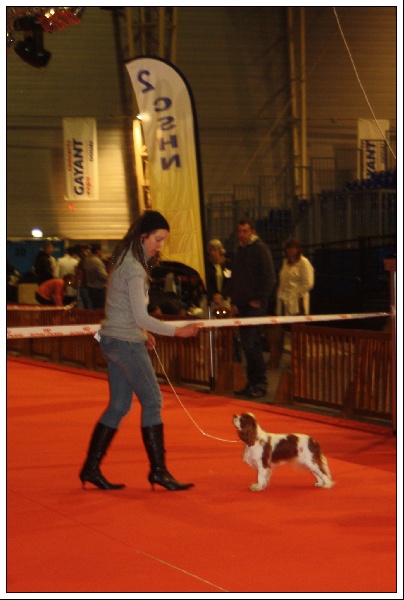 In holly day's Of Aragon's Spirit - 1ère EXC classe jeune , meilleur jeune de race