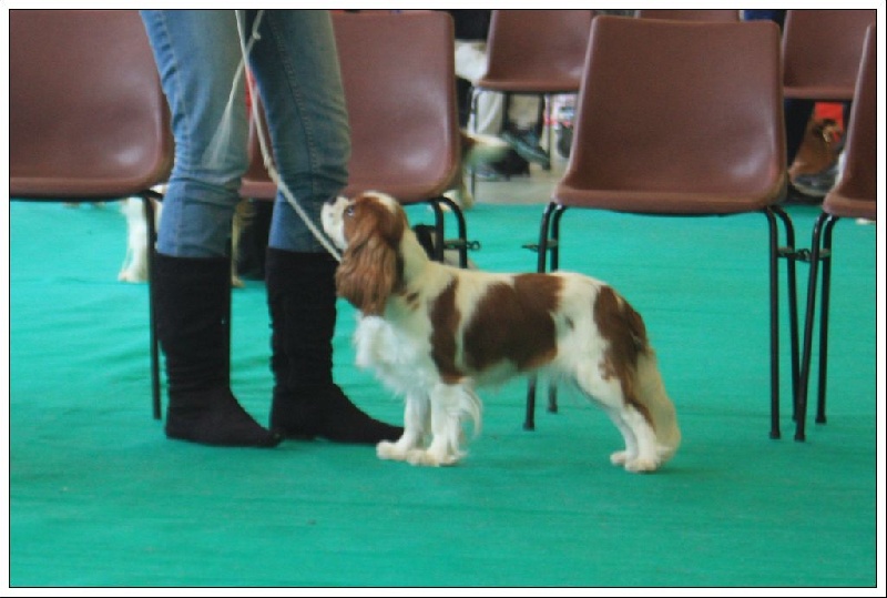 In holly day's Of Aragon's Spirit - TB, non classée , classe jeune