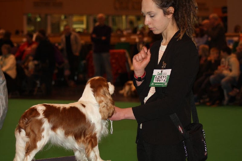 In holly day's Of Aragon's Spirit - non classée , Post graduate bitch