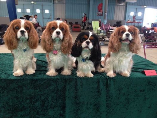 In holly day's Of Aragon's Spirit - TB non classée