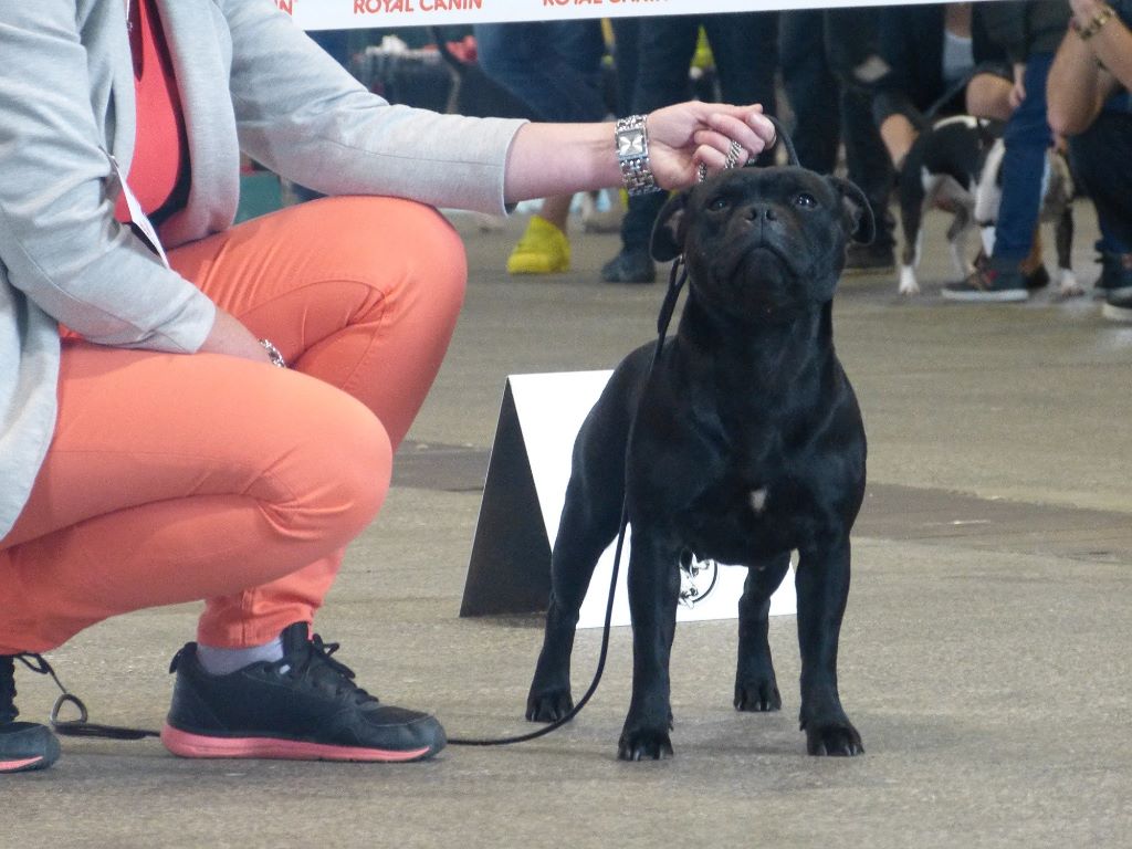 Publication : Mc performance