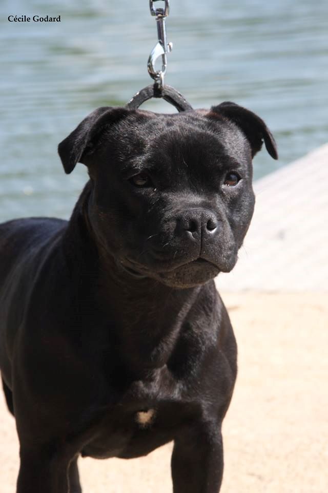 Publication : Mc performance