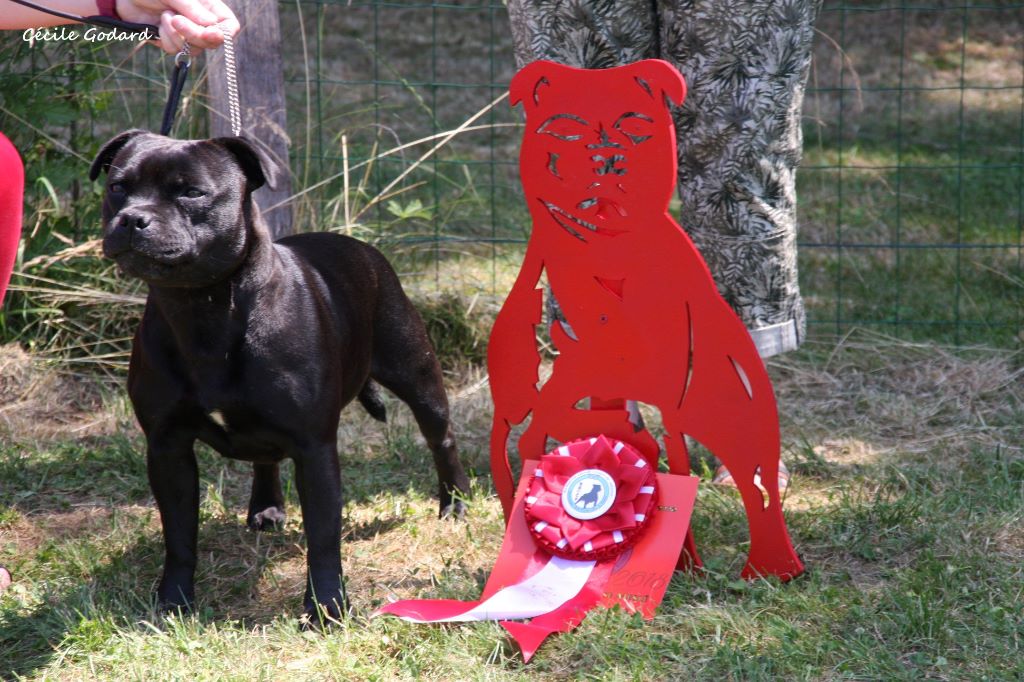 Publication : Mc performance